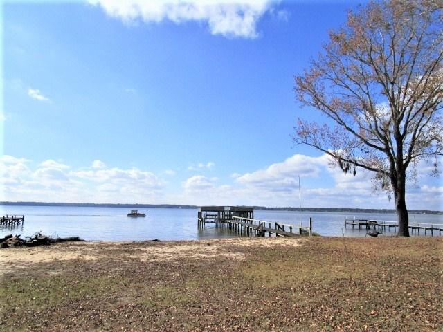 2584 Princess Pond Road Summerton, SC 29148 - Photo 30 of 31 Shared Pier