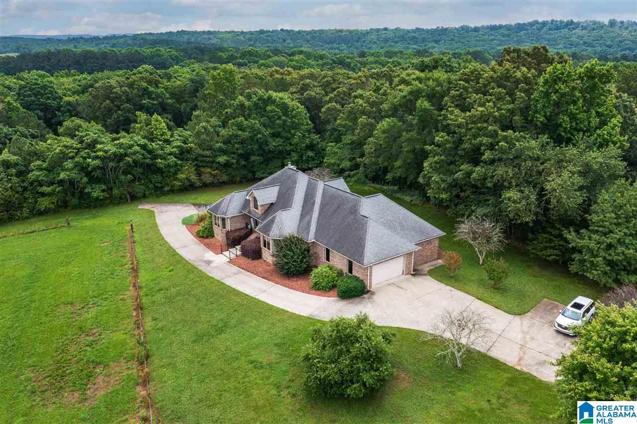 1484 Bullard Road Blountsville, AL 35031 - Photo 6 of 39