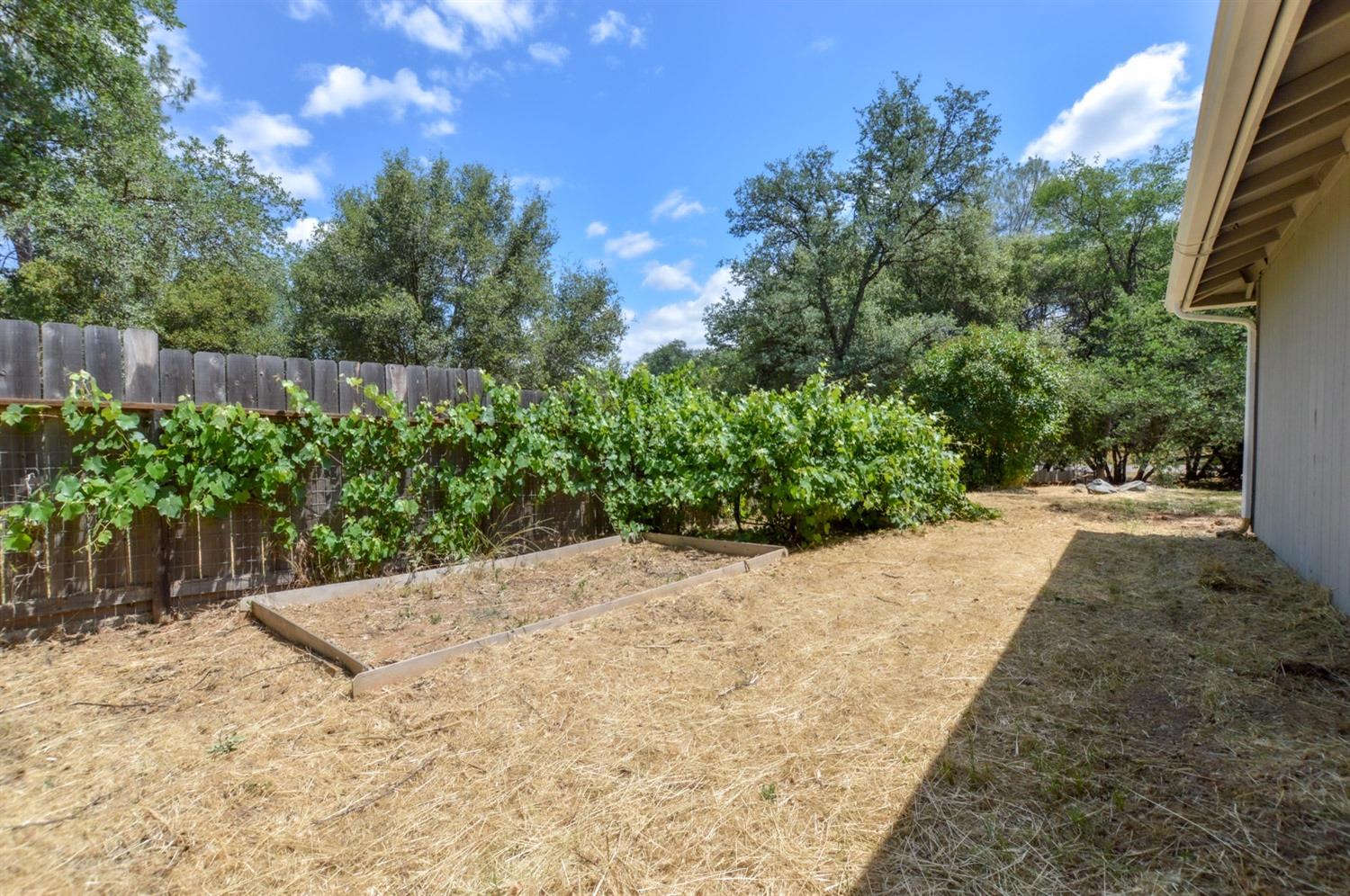 31520 Sioux Road Coarsegold, CA 93614 - Photo 20 of 23 Gallery Image 20