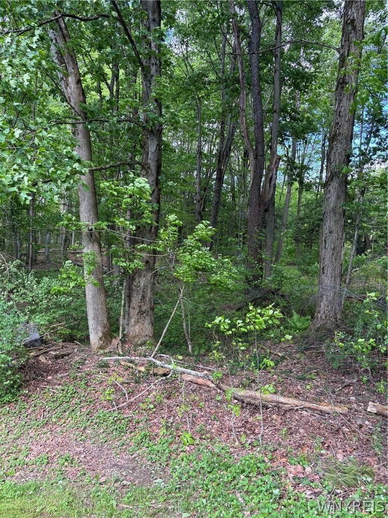 10147 Savage Road Sardinia, NY 14080 - Photo 20 of 21