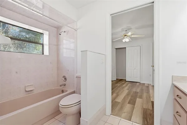 a view of a backyard with large trees