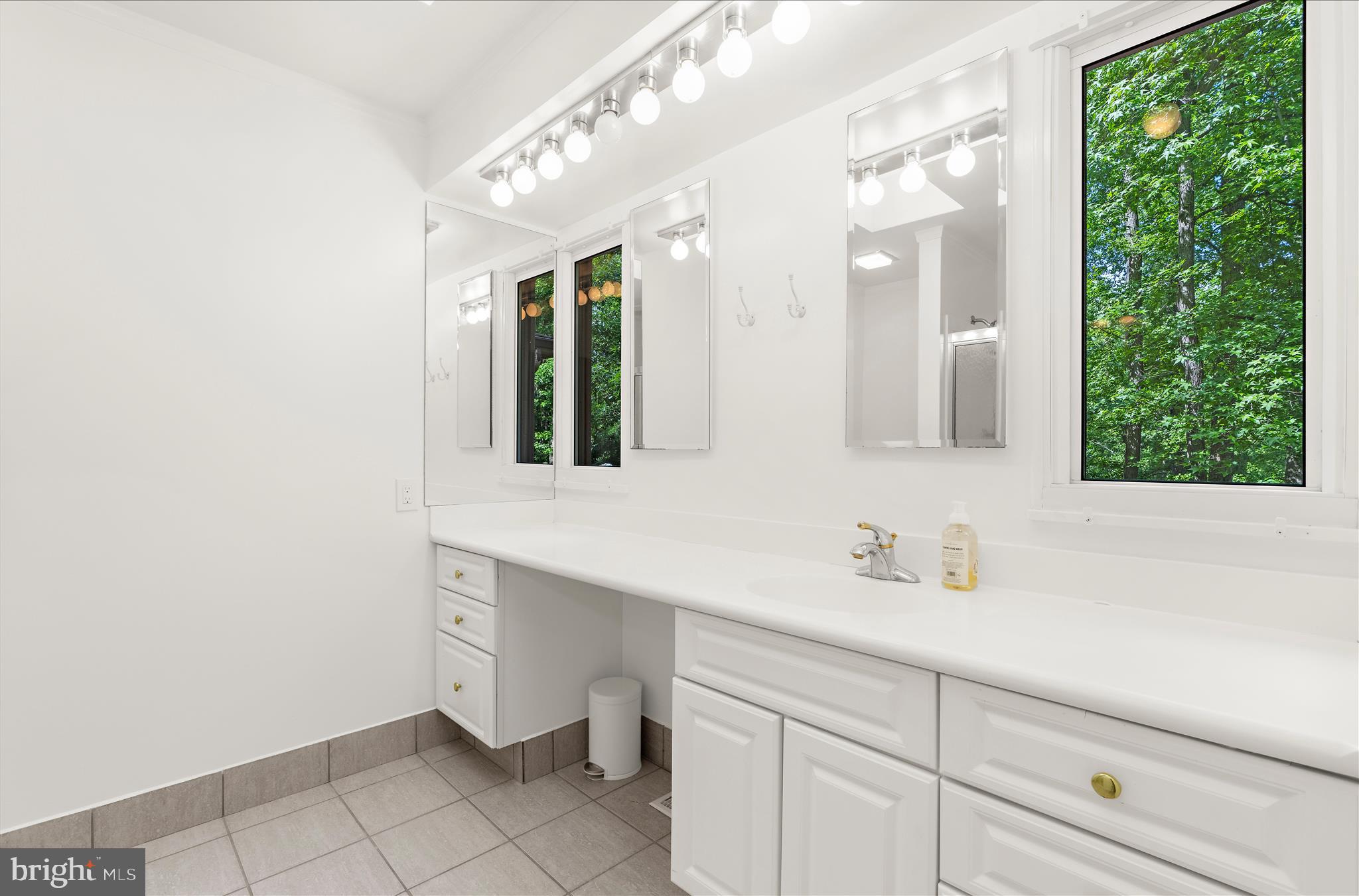 698 Discovery Road Davidsonville, MD 21035 - Photo 15 of 52 Primary Bathroom