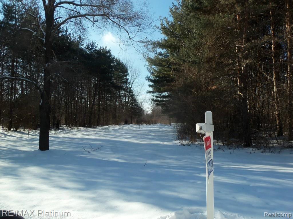 Parcel A Parcel A Roberts Drive Fenton, MI 48430 - Photo 3 of 4