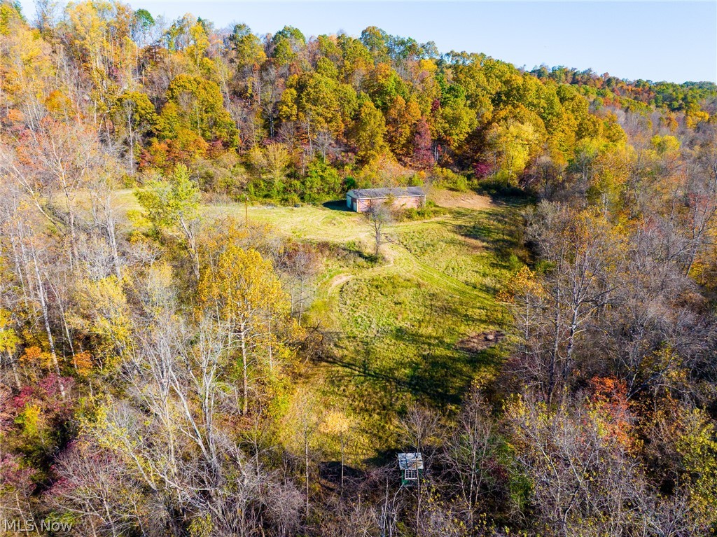 Plum Road Kimbolton, OH 43749 - Photo 1 of 50 Drone / aerial view of a forest