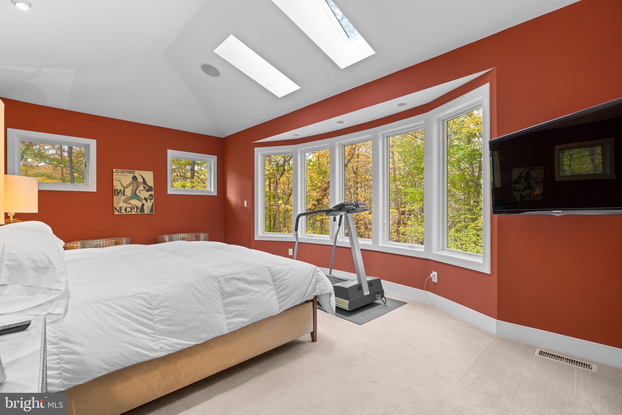 2331 Ridge Tree Court Ellicott City, MD 21042 - Photo 21 of 71 Main level primary bedroom w/skylights