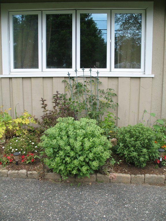7 David Road Framingham, MA 01701 - Photo 5 of 19 Gallery Image 5