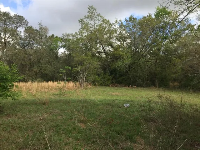 $694,900 | 7125 Holly Street, Mount Dora, FL 32757