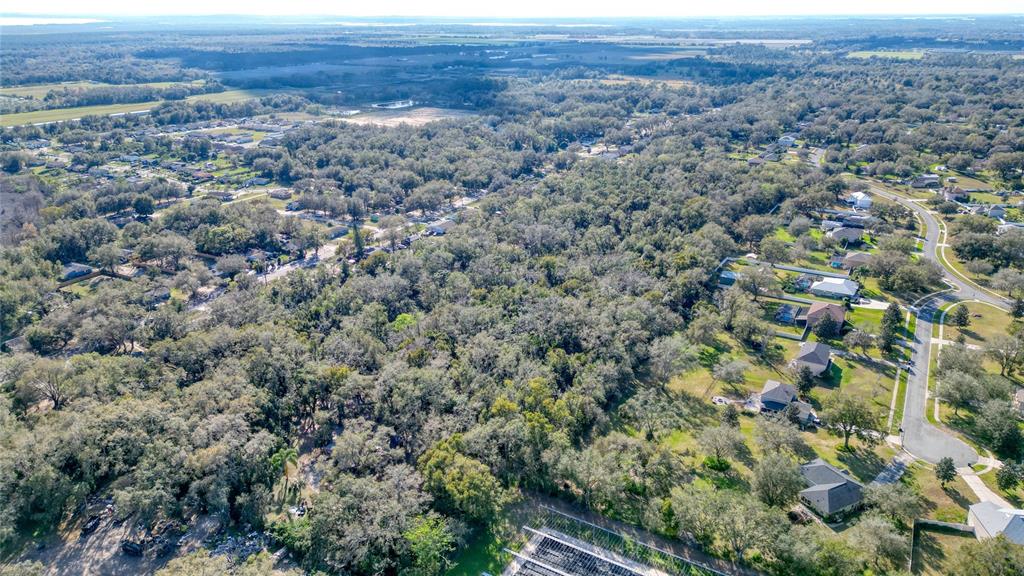 7125 Holly Street Mount Dora, FL 32757 - Photo 8 of 9