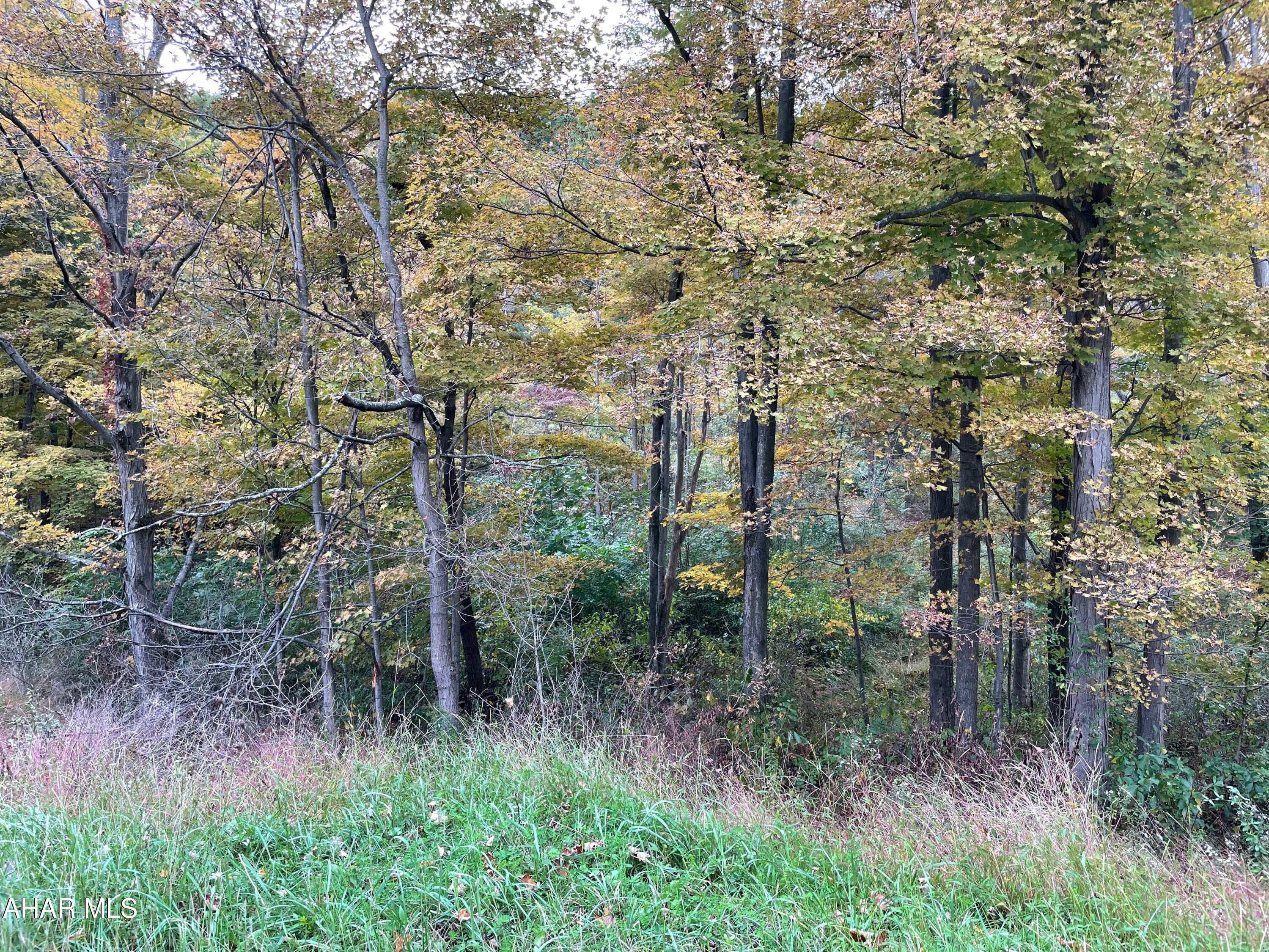 2491 Baughman Cemetery Road Tyrone, PA 16686 - Photo 5 of 19
