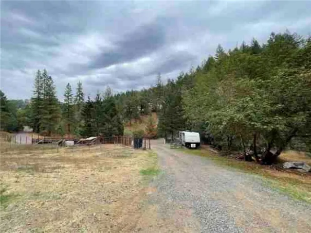 a view of a field with trees in the background