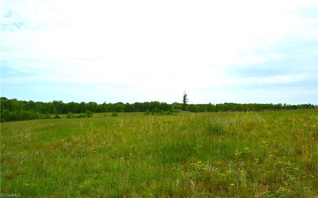 700 Ruffin Nc 27326, Unit TRACT B Ruffin, NC 27326 - Photo 11 of 14