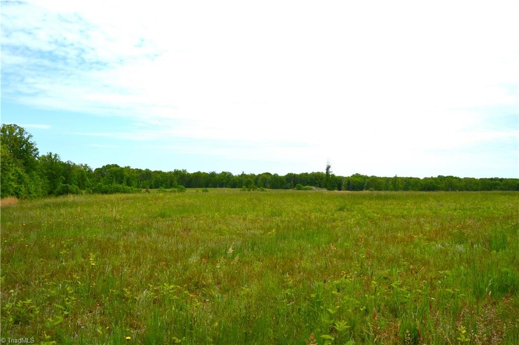 700 Ruffin Nc 27326, Unit TRACT B Ruffin, NC 27326 - Photo 12 of 14
