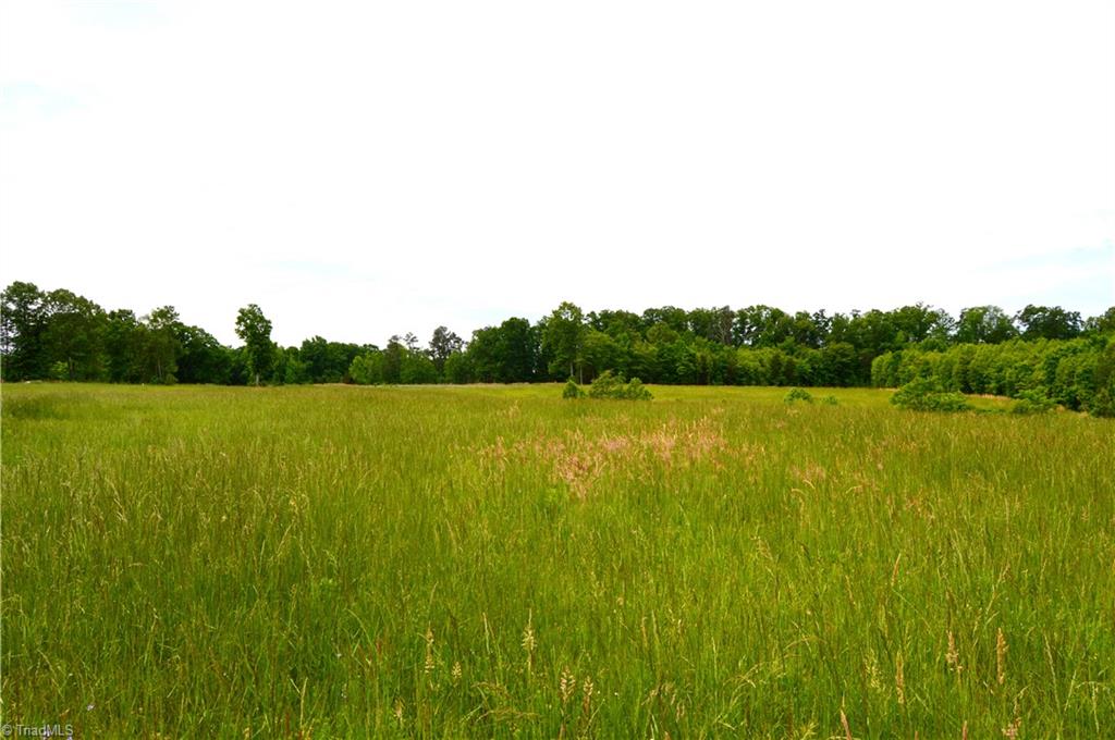 700 Ruffin Nc 27326, Unit TRACT B Ruffin, NC 27326 - Photo 5 of 14