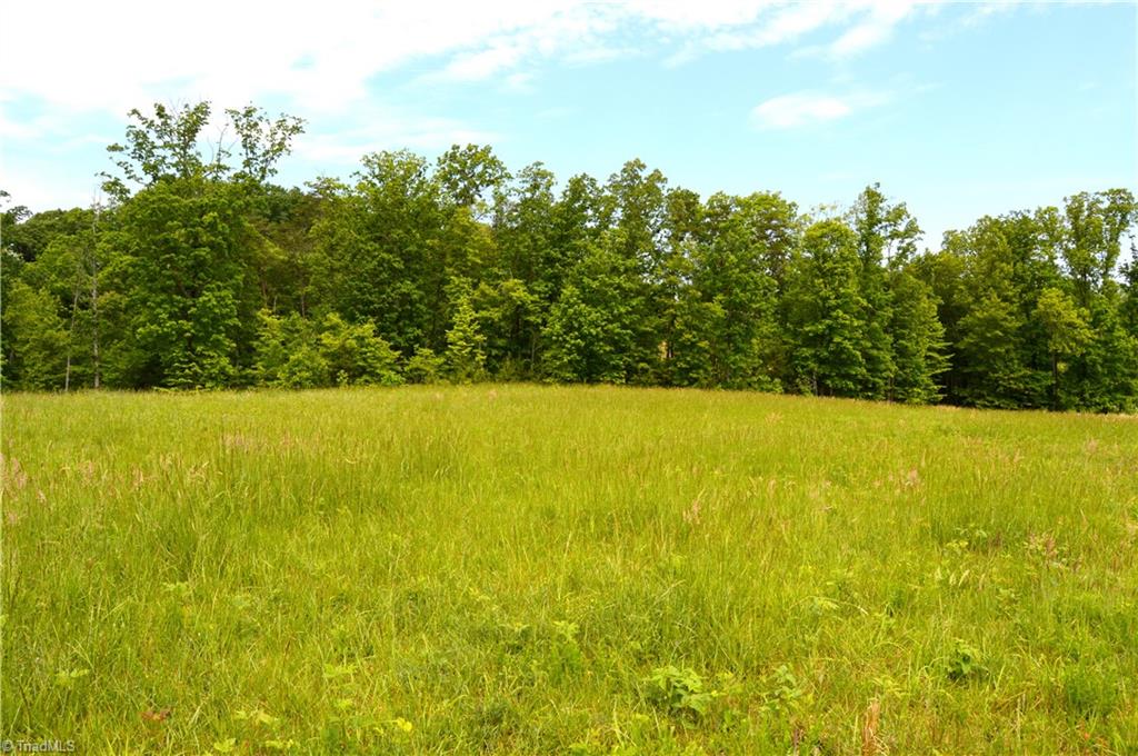 700 Ruffin Nc 27326, Unit TRACT B Ruffin, NC 27326 - Photo 6 of 14