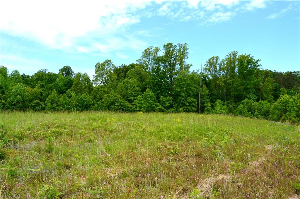 700 Ruffin Nc 27326, Unit TRACT B Ruffin, NC 27326 - Photo 9 of 14