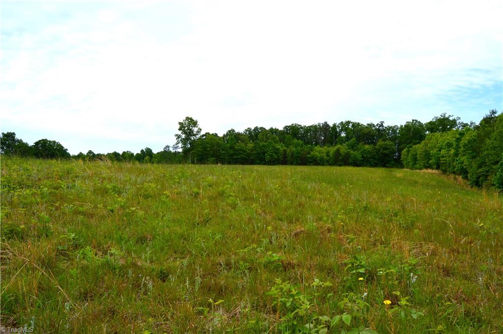 700 Ruffin Nc 27326, Unit TRACT B Ruffin, NC 27326 - Photo 10 of 14