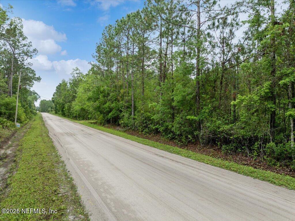 1756 Hazelnut Street Bunnell, FL 32110 - Photo 2 of 8 1-DJI_0354