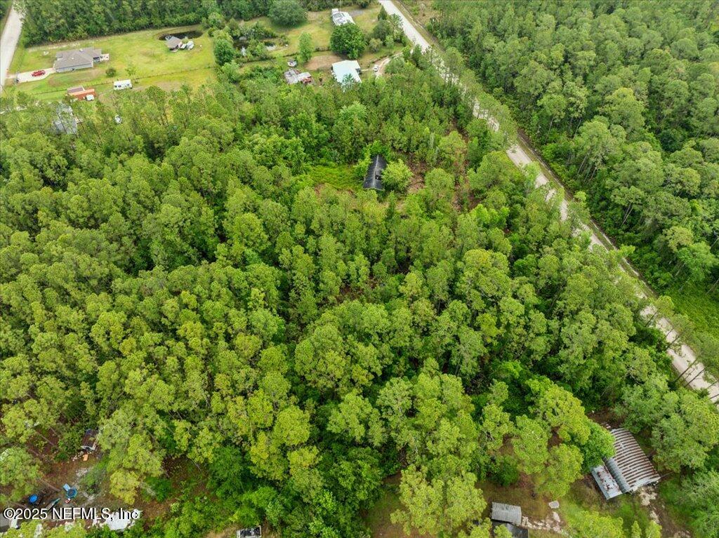 1756 Hazelnut Street Bunnell, FL 32110 - Photo 4 of 8 3-DJI_0369
