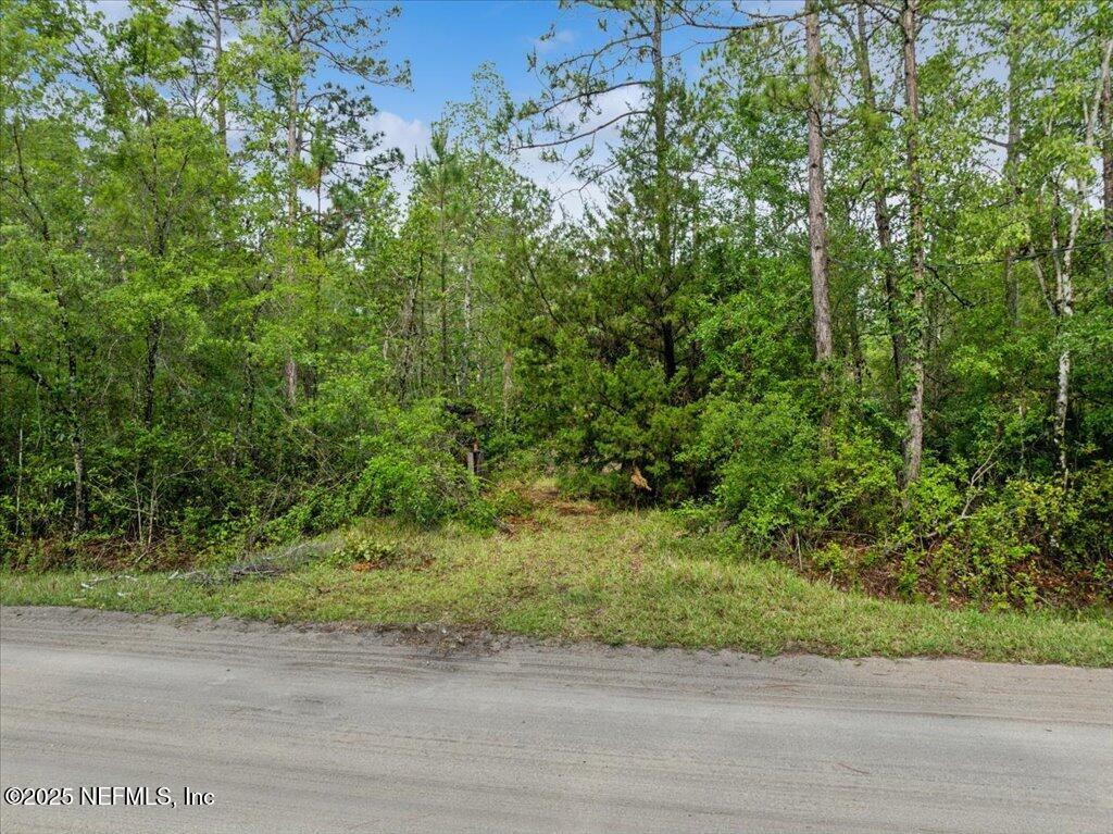 1756 Hazelnut Street Bunnell, FL 32110 - Photo 7 of 8 7-DJI_0404