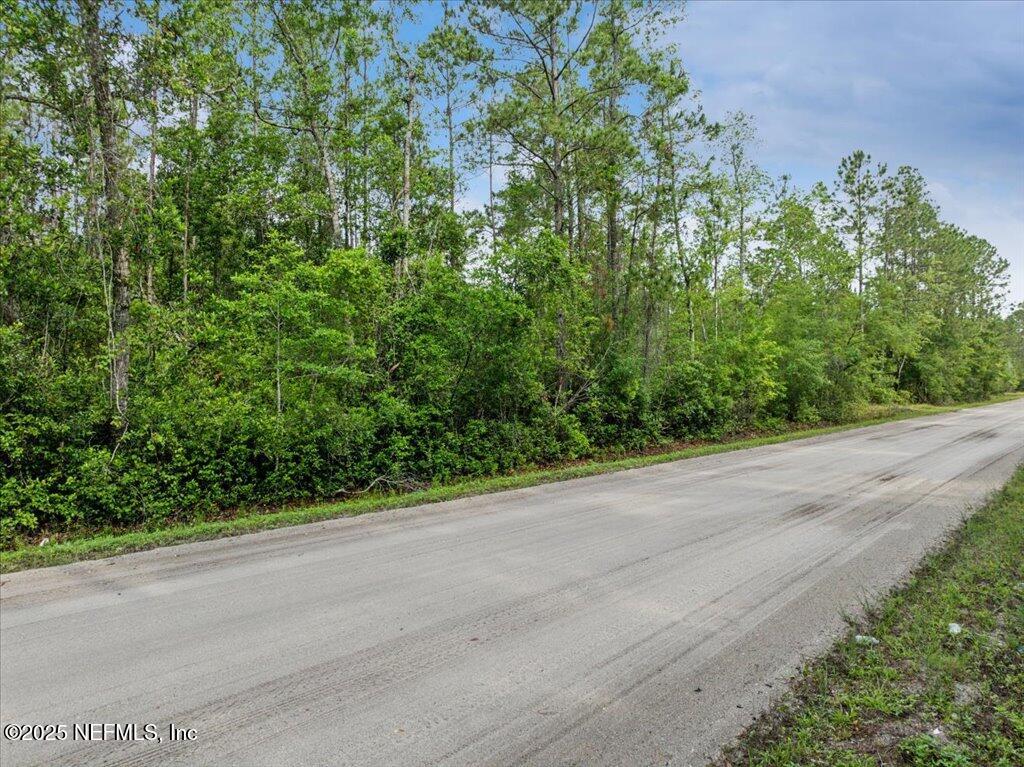 1756 Hazelnut Street Bunnell, FL 32110 - Photo 8 of 8 8-DJI_0409