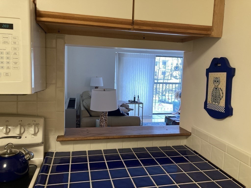 1 Summit Drive, Unit 26 Reading, MA 01867 - Photo 9 of 26 a view of a entryway door of the house