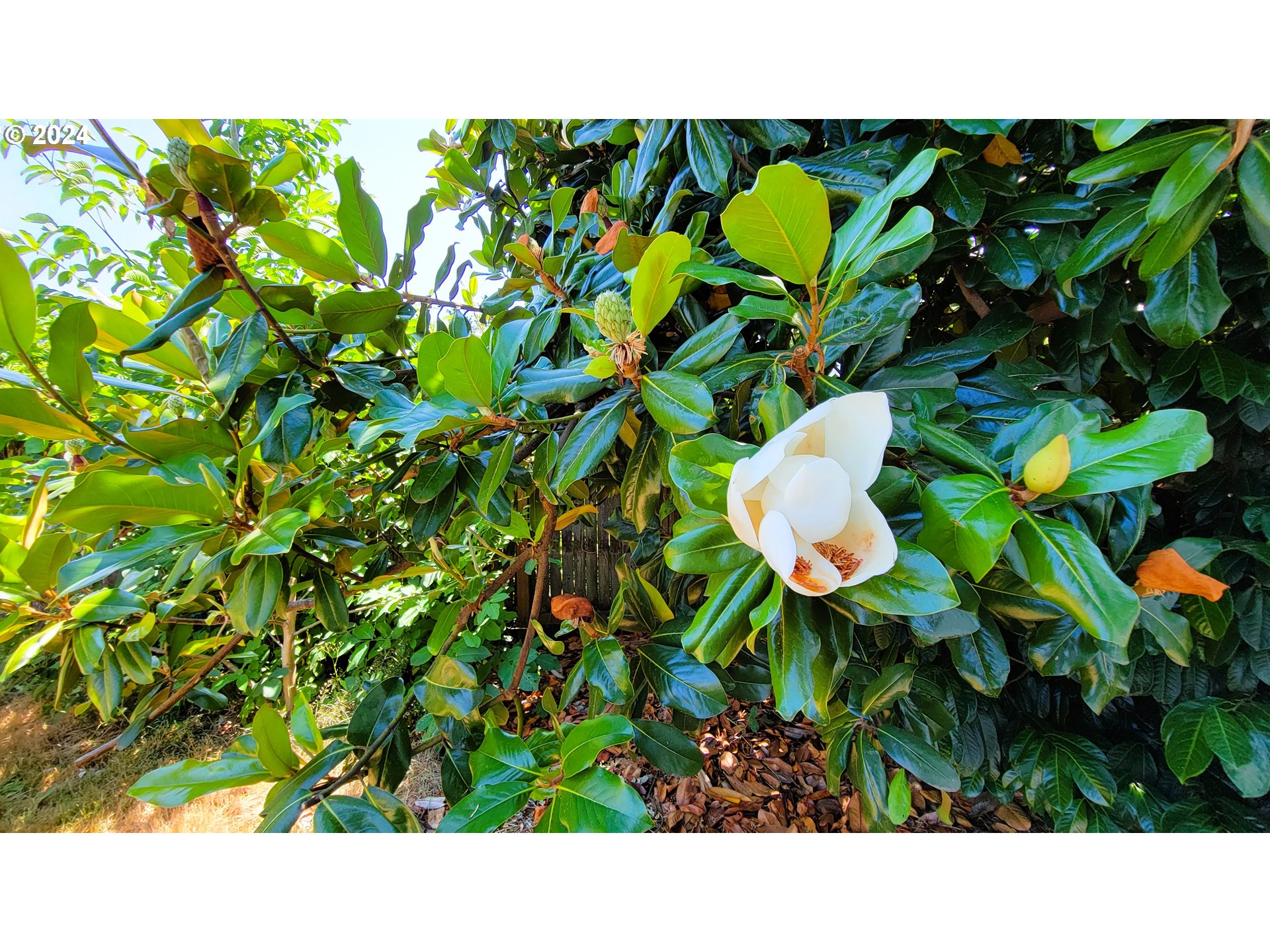 316 North 9th Street Cottage Grove, OR 97424 - Photo 32 of 32