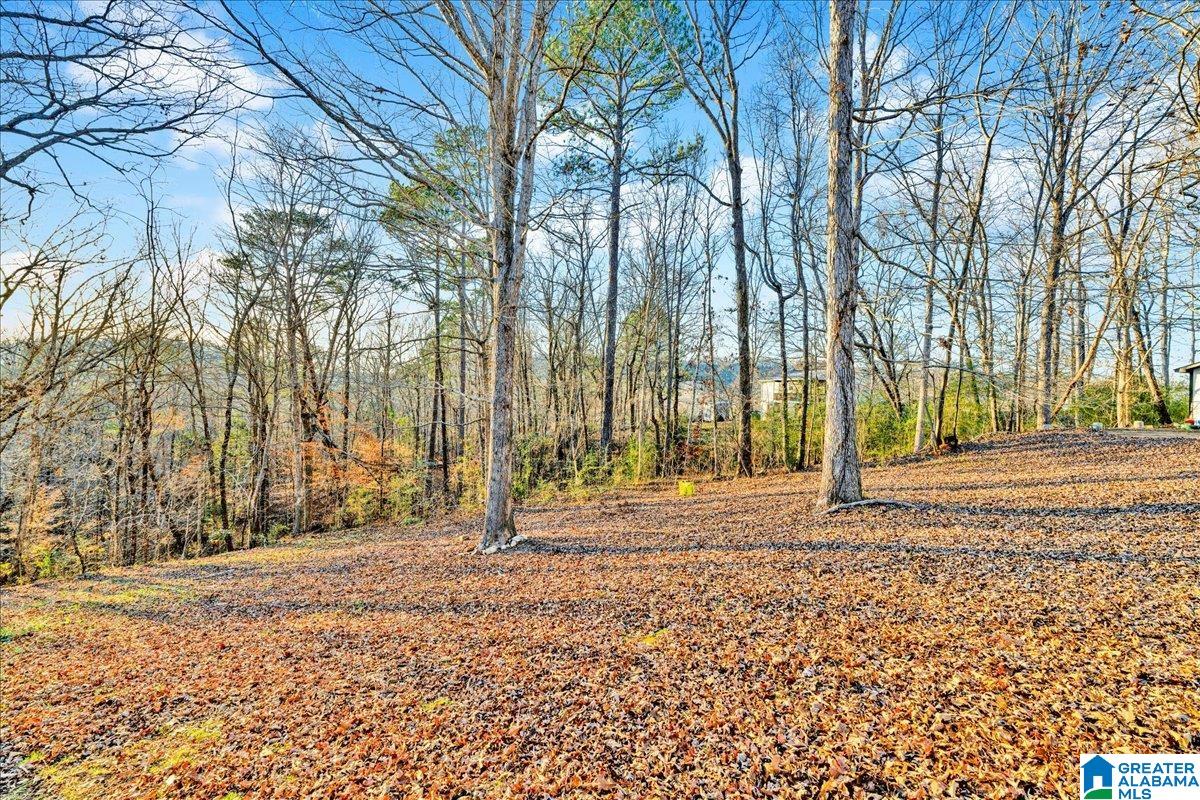891 Ridgewood Drive Remlap, AL 35133 - Photo 20 of 21 Gallery Image 20