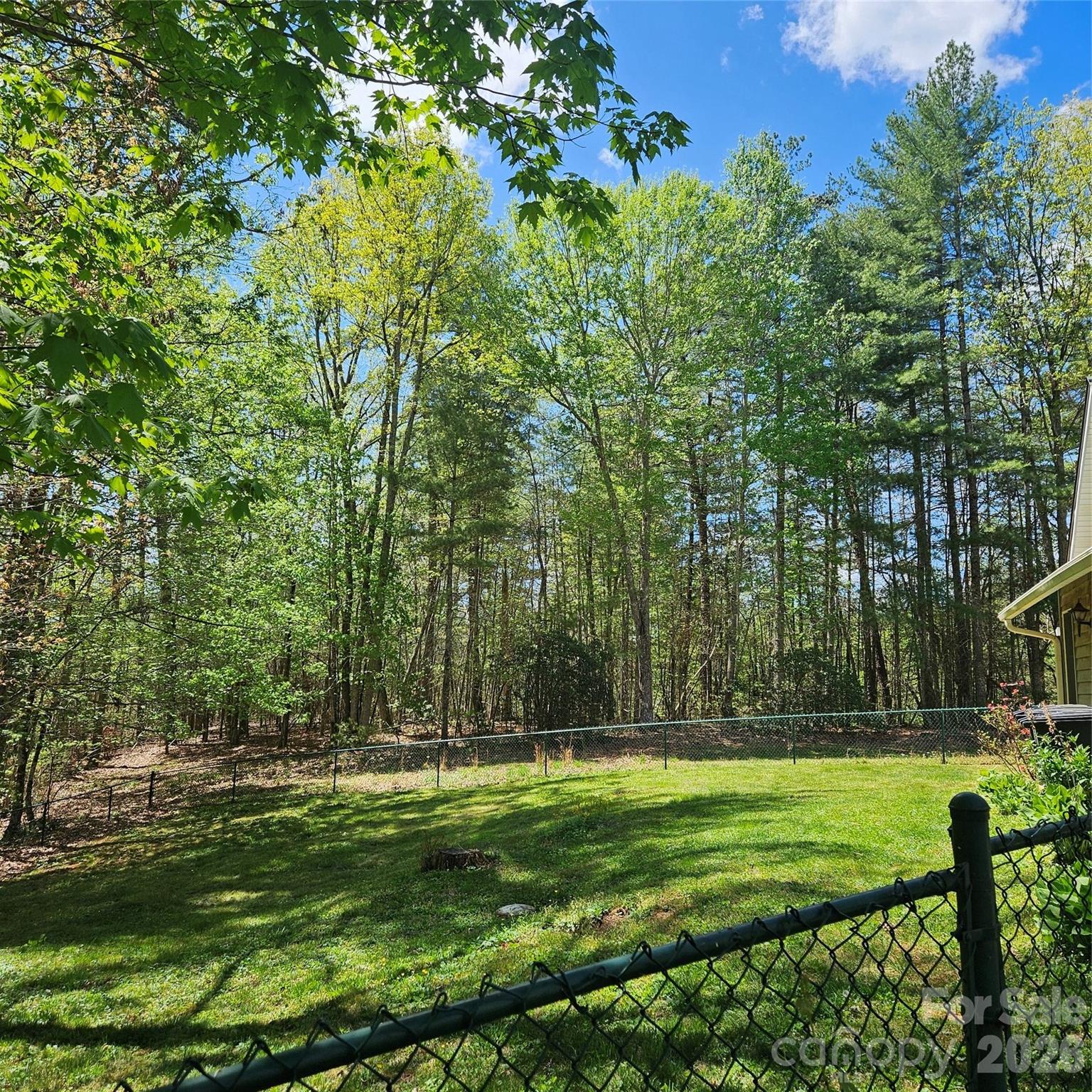 649 Upper Bailey Branch Road Mars Hill, NC 28754 - Photo 27 of 30