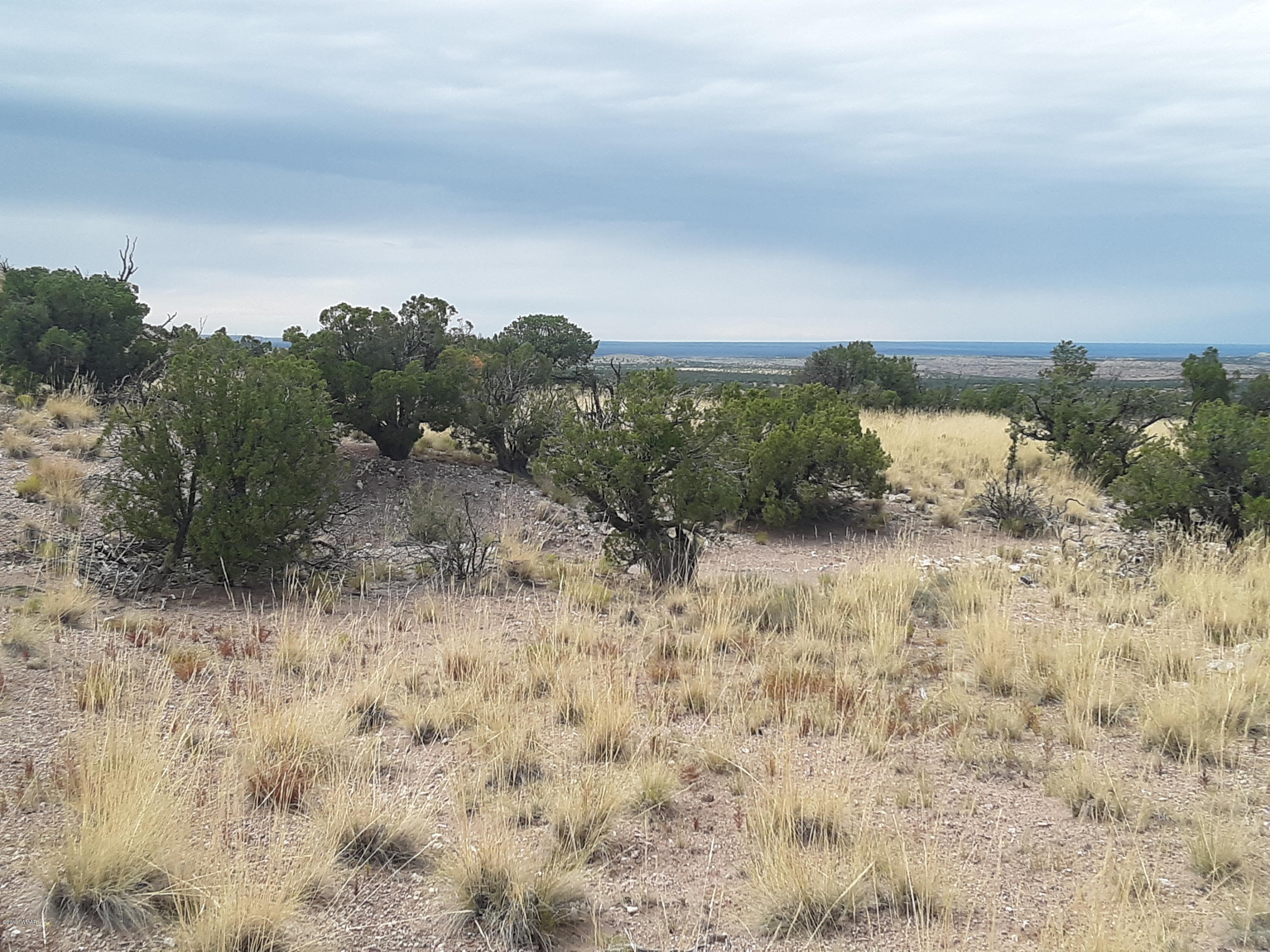 St-johns Az 85936 Ranch, Unit 6 St. Johns, AZ 85936 - Photo 11 of 19