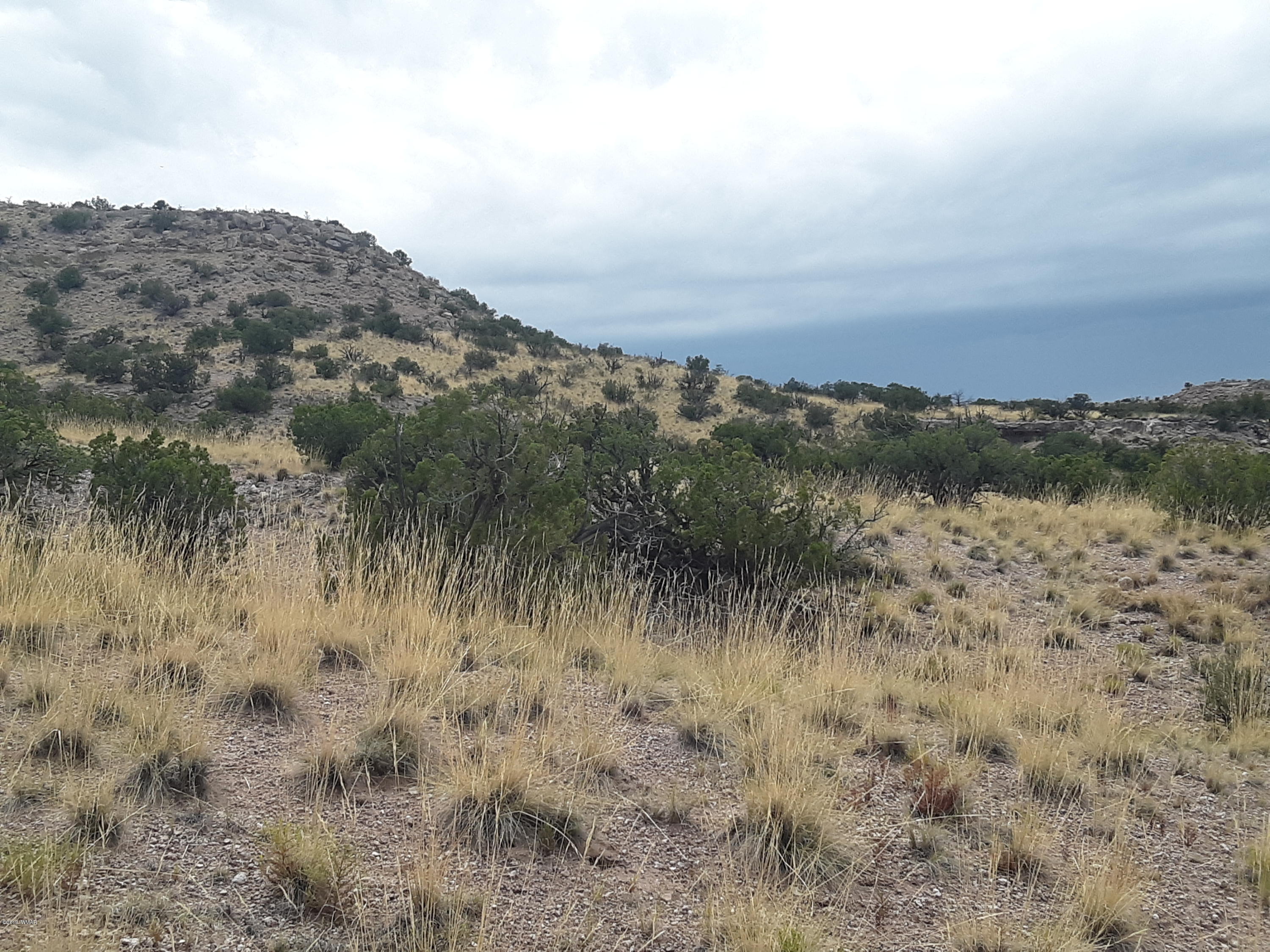 St-johns Az 85936 Ranch, Unit 6 St. Johns, AZ 85936 - Photo 12 of 19