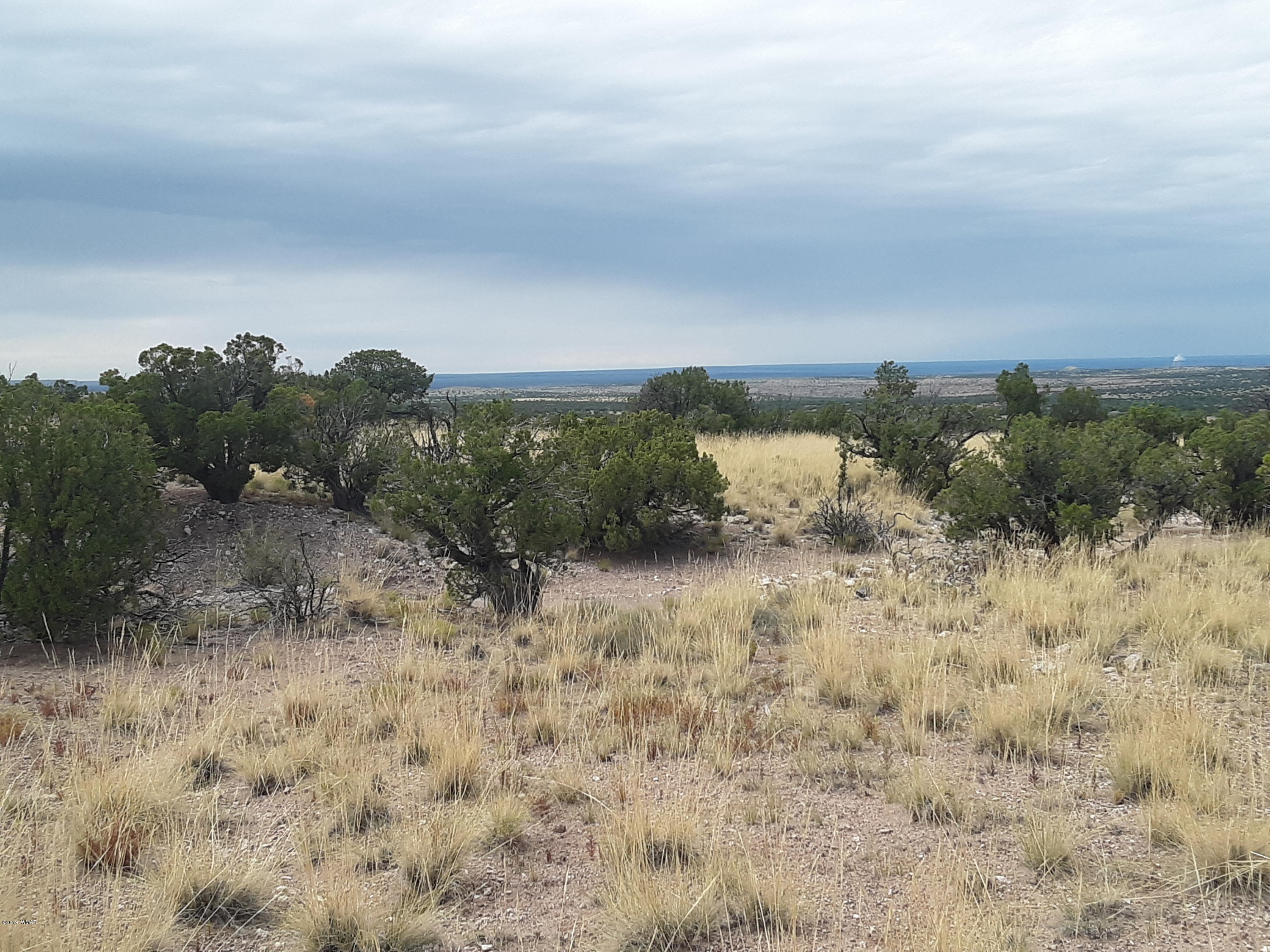 St-johns Az 85936 Ranch, Unit 6 St. Johns, AZ 85936 - Photo 13 of 19
