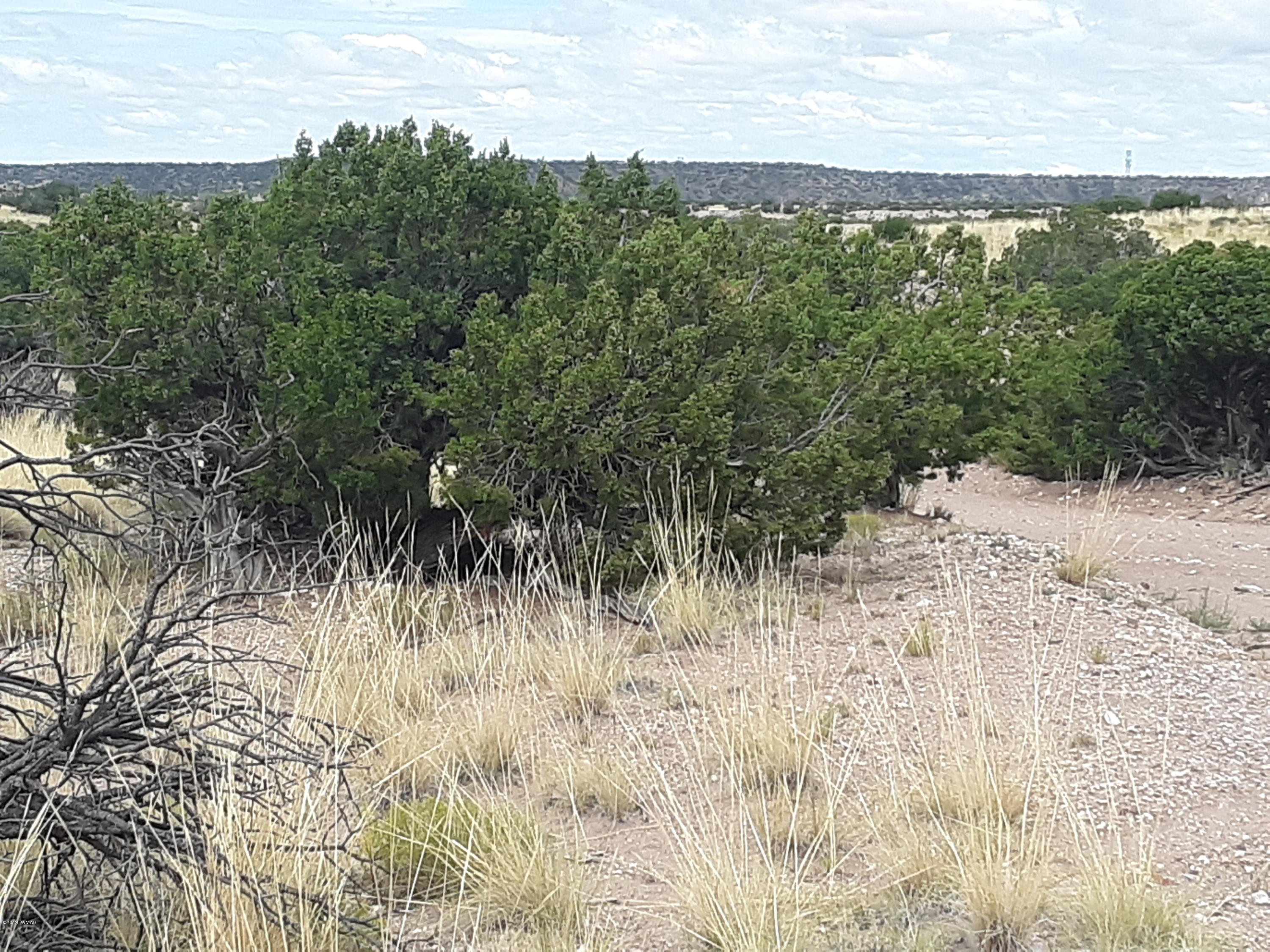 St-johns Az 85936 Ranch, Unit 6 St. Johns, AZ 85936 - Photo 14 of 19