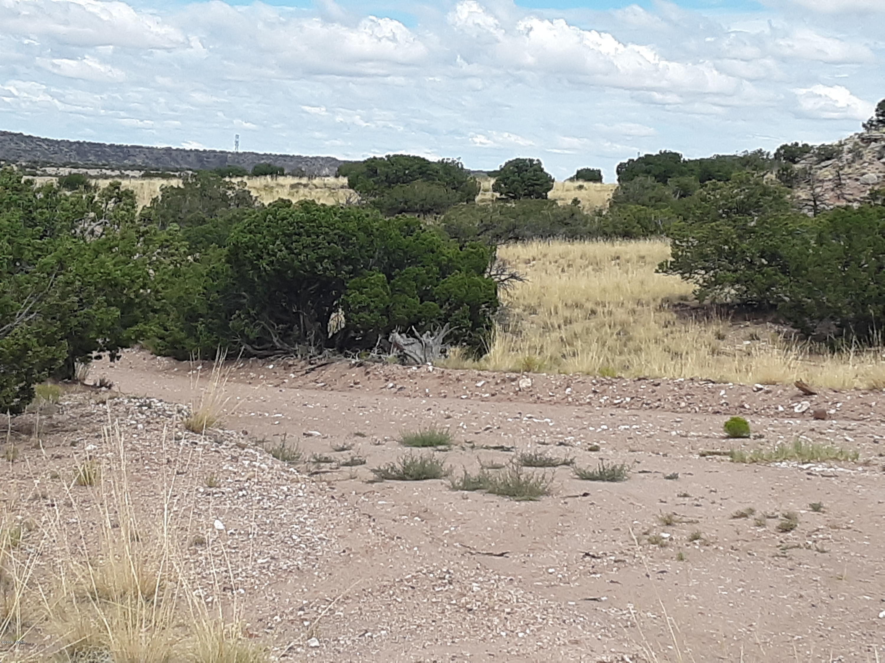 St-johns Az 85936 Ranch, Unit 6 St. Johns, AZ 85936 - Photo 15 of 19