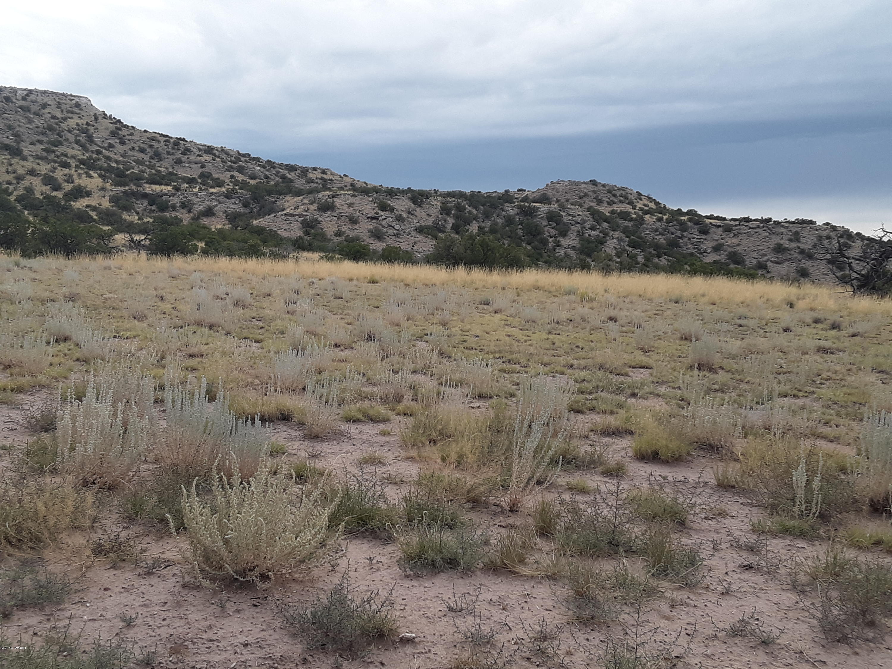 St-johns Az 85936 Ranch, Unit 6 St. Johns, AZ 85936 - Photo 18 of 19