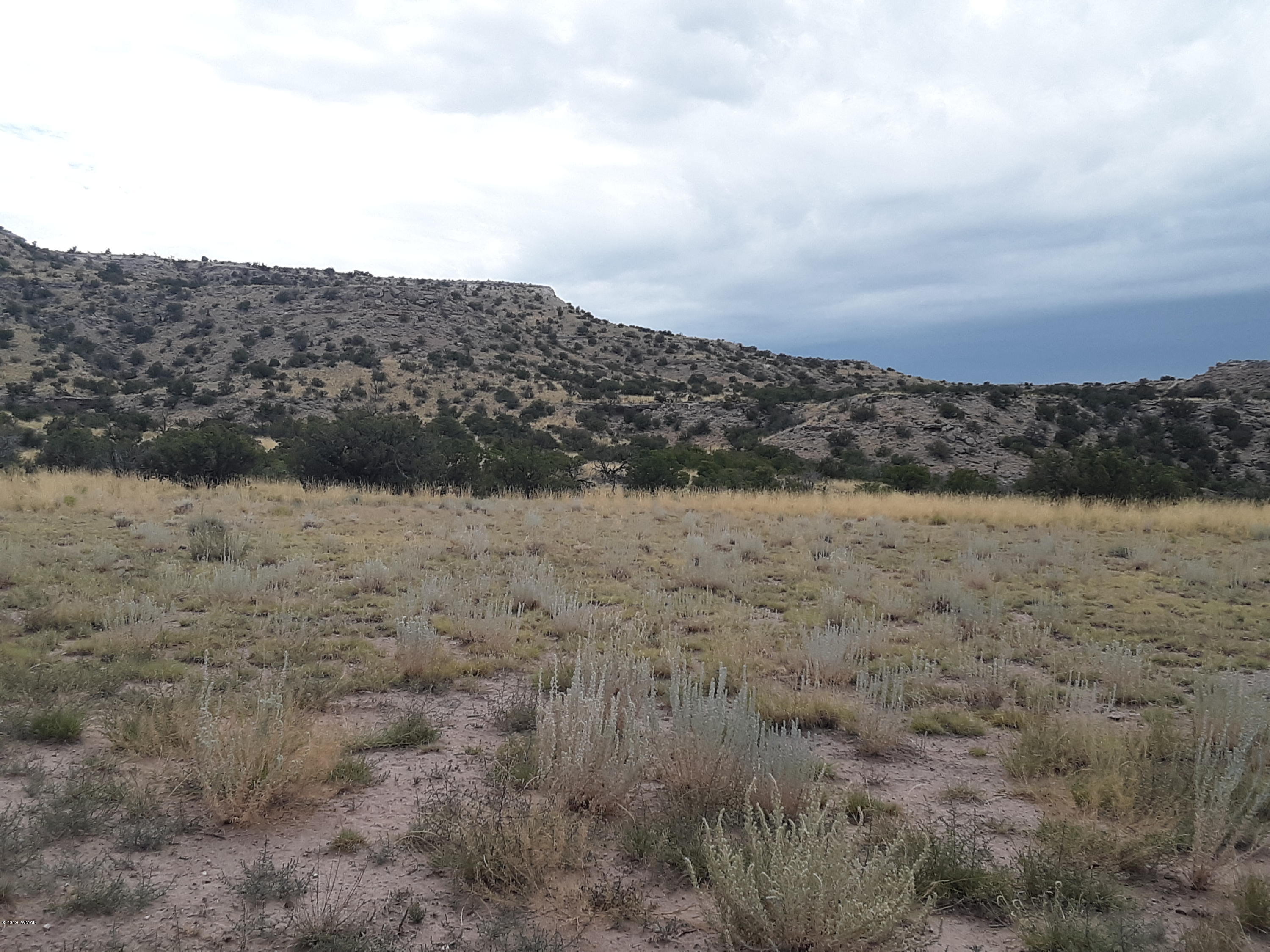 St-johns Az 85936 Ranch, Unit 6 St. Johns, AZ 85936 - Photo 3 of 19