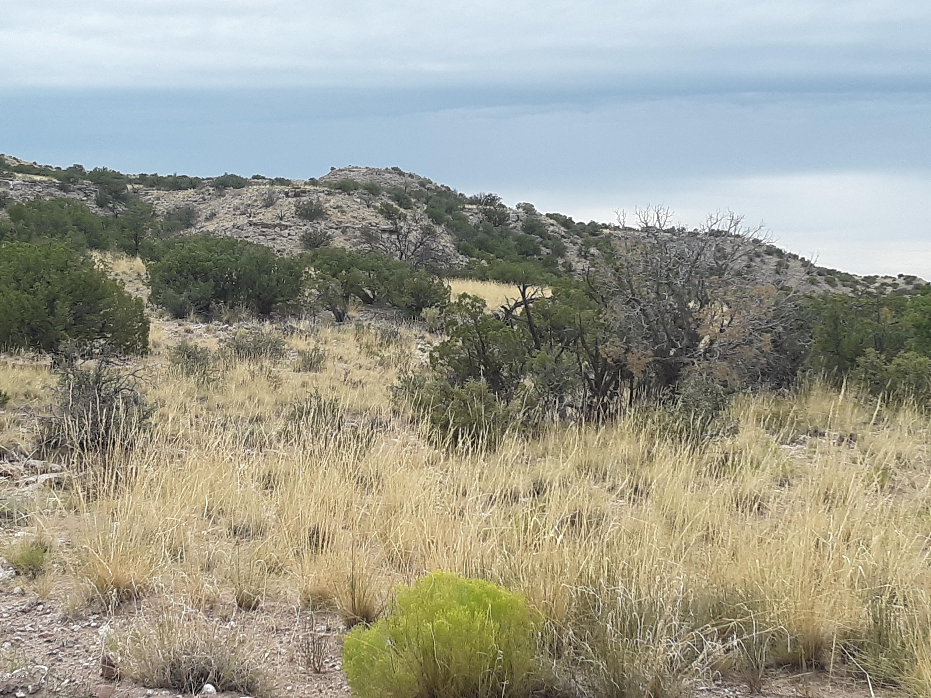 St-johns Az 85936 Ranch, Unit 6 St. Johns, AZ 85936 - Photo 5 of 19