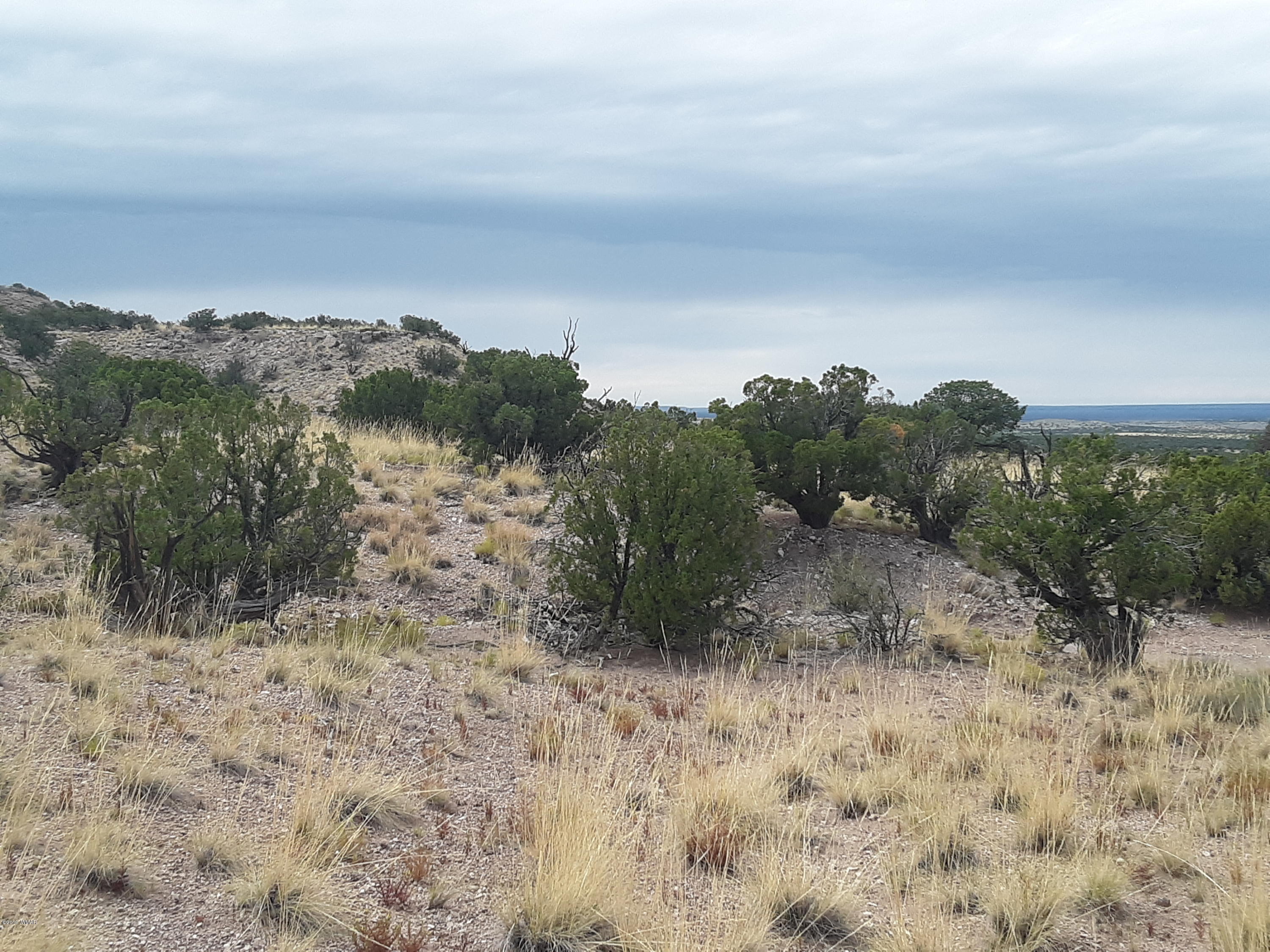 St-johns Az 85936 Ranch, Unit 6 St. Johns, AZ 85936 - Photo 6 of 19