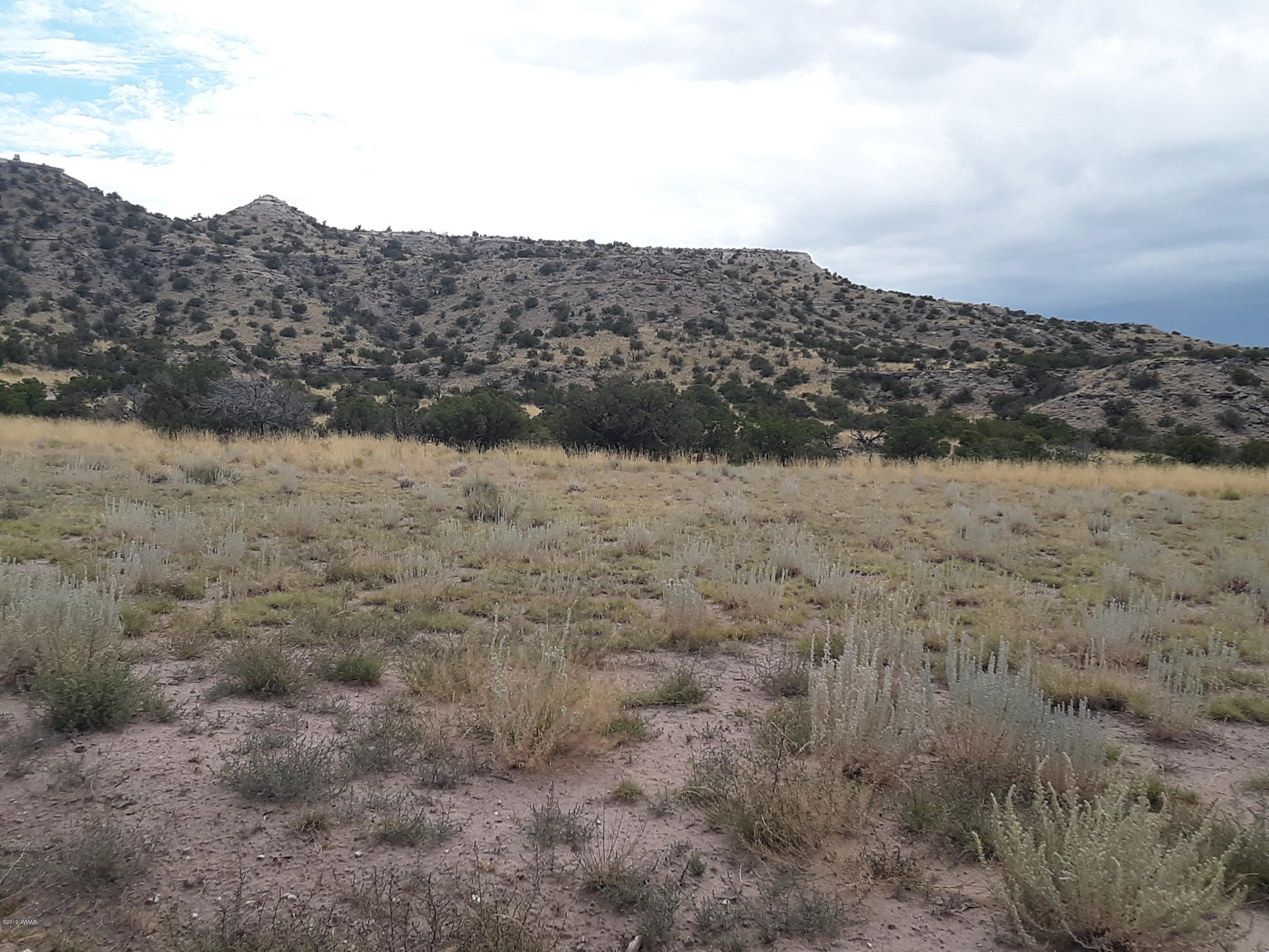 St-johns Az 85936 Ranch, Unit 6 St. Johns, AZ 85936 - Photo 7 of 19