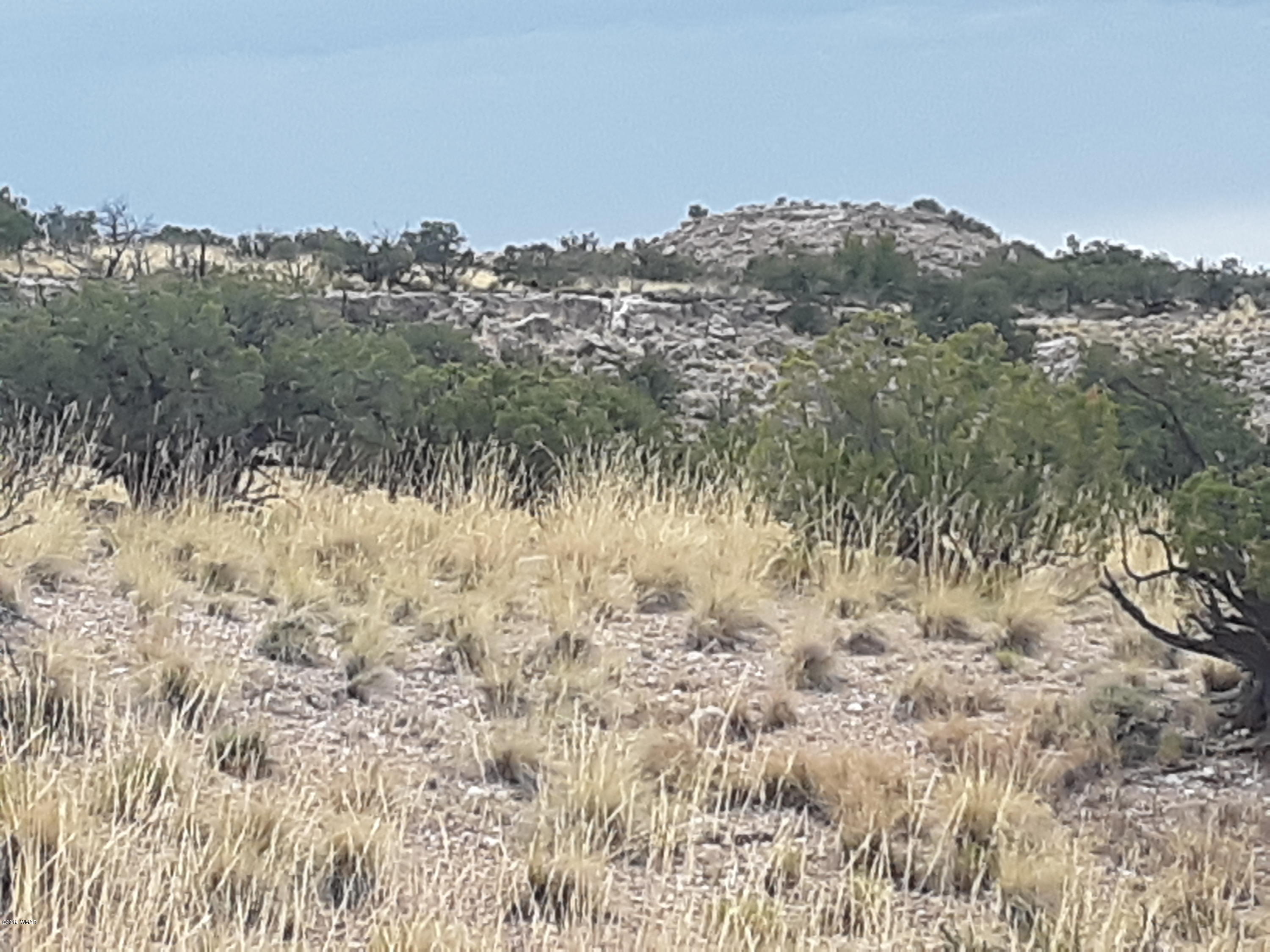 St-johns Az 85936 Ranch, Unit 6 St. Johns, AZ 85936 - Photo 9 of 19