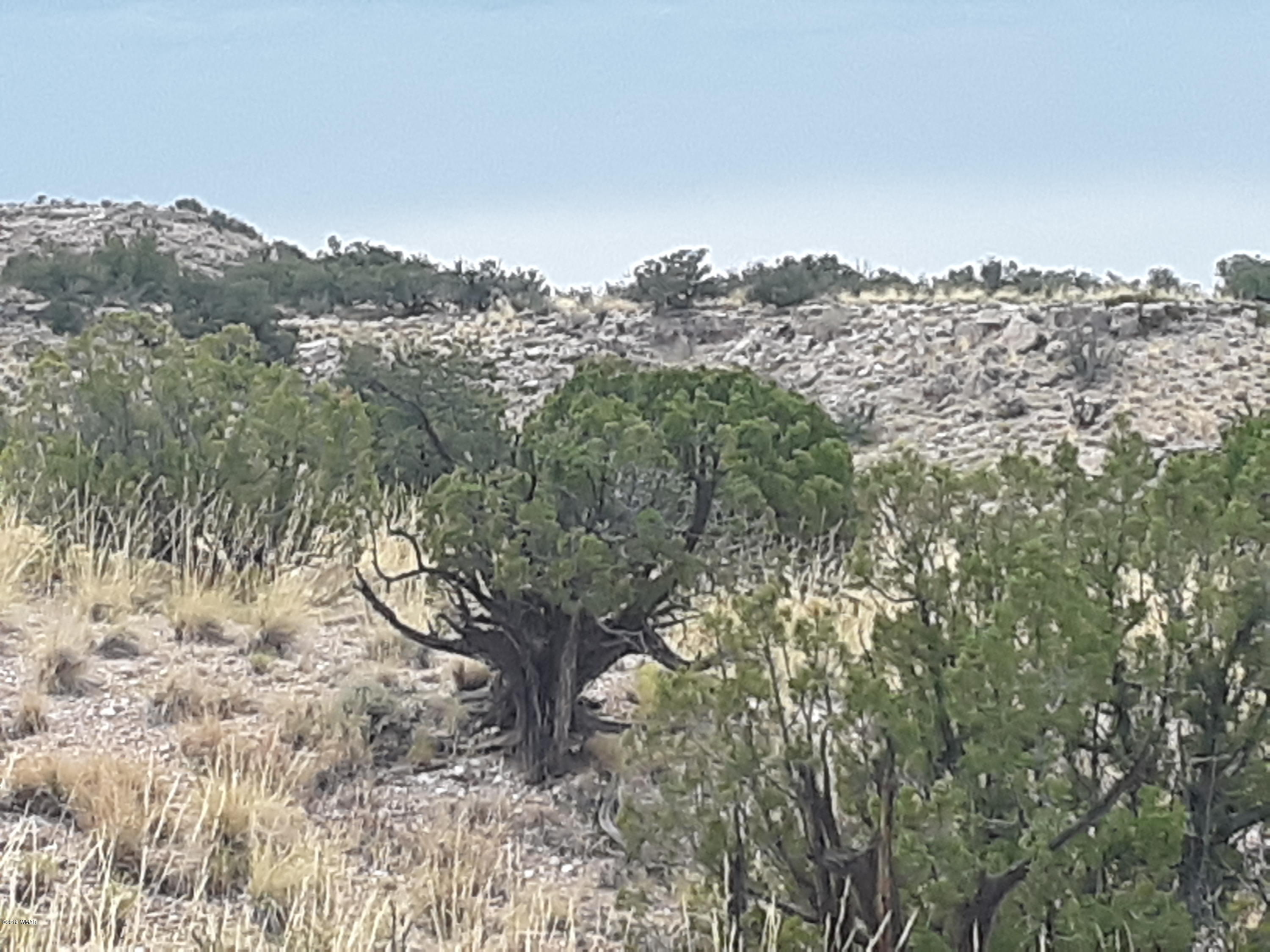 St-johns Az 85936 Ranch, Unit 6 St. Johns, AZ 85936 - Photo 10 of 19