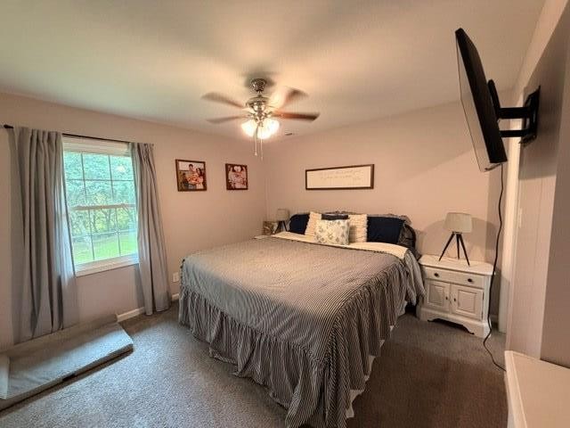 12945 Dawson Springs Road Crofton, KY 42217 - Photo 22 of 38