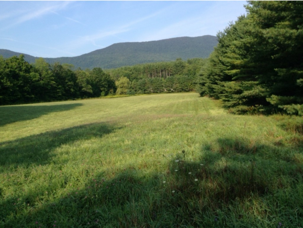 Lot A Lot A & B Cross Road Manchester Center, VT 05255 - Photo 1 of 6 Gallery Image 1