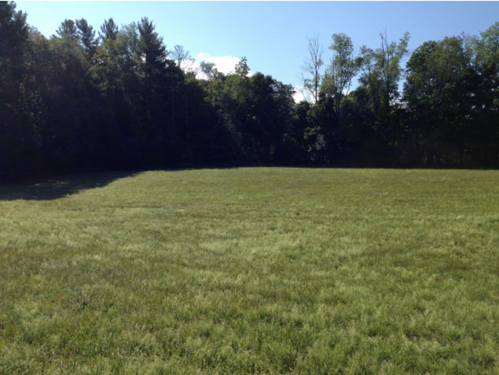 Lot A Lot A & B Cross Road Manchester Center, VT 05255 - Photo 2 of 6 Gallery Image 2