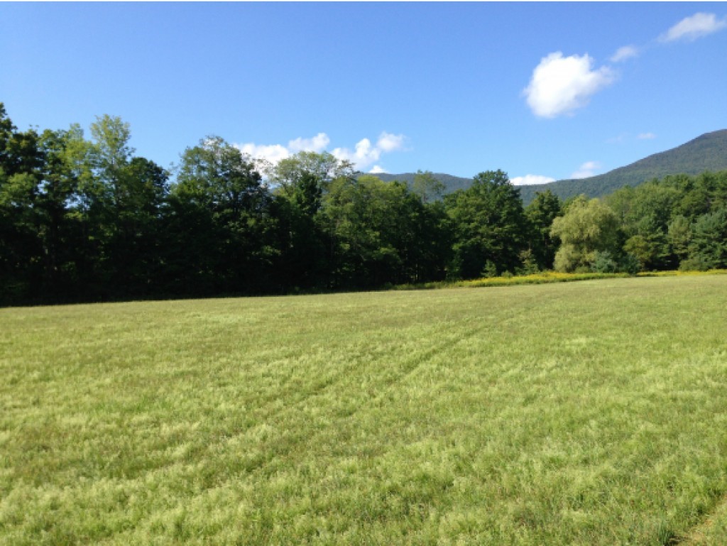 Lot A Lot A & B Cross Road Manchester Center, VT 05255 - Photo 5 of 6 Gallery Image 5