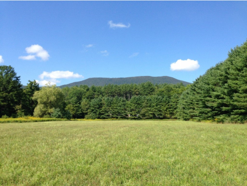 Lot A Lot A & B Cross Road Manchester Center, VT 05255 - Photo 6 of 6 Gallery Image 6