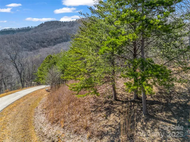 a plant that is sitting in a garden