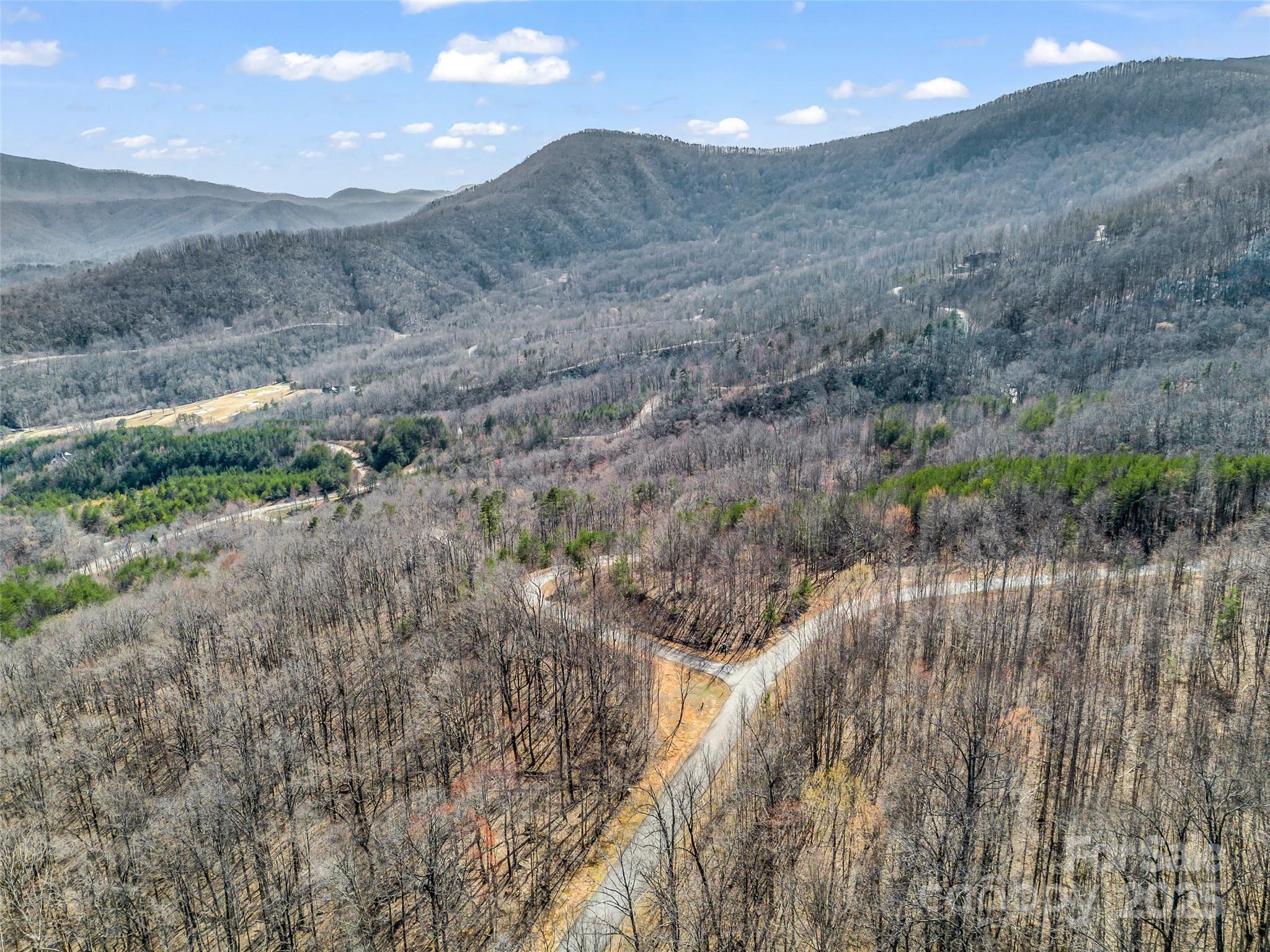 190 Cherry Hill, Unit NONE Mill Spring, NC 28756 - Photo 13 of 32 a view of a dry yard