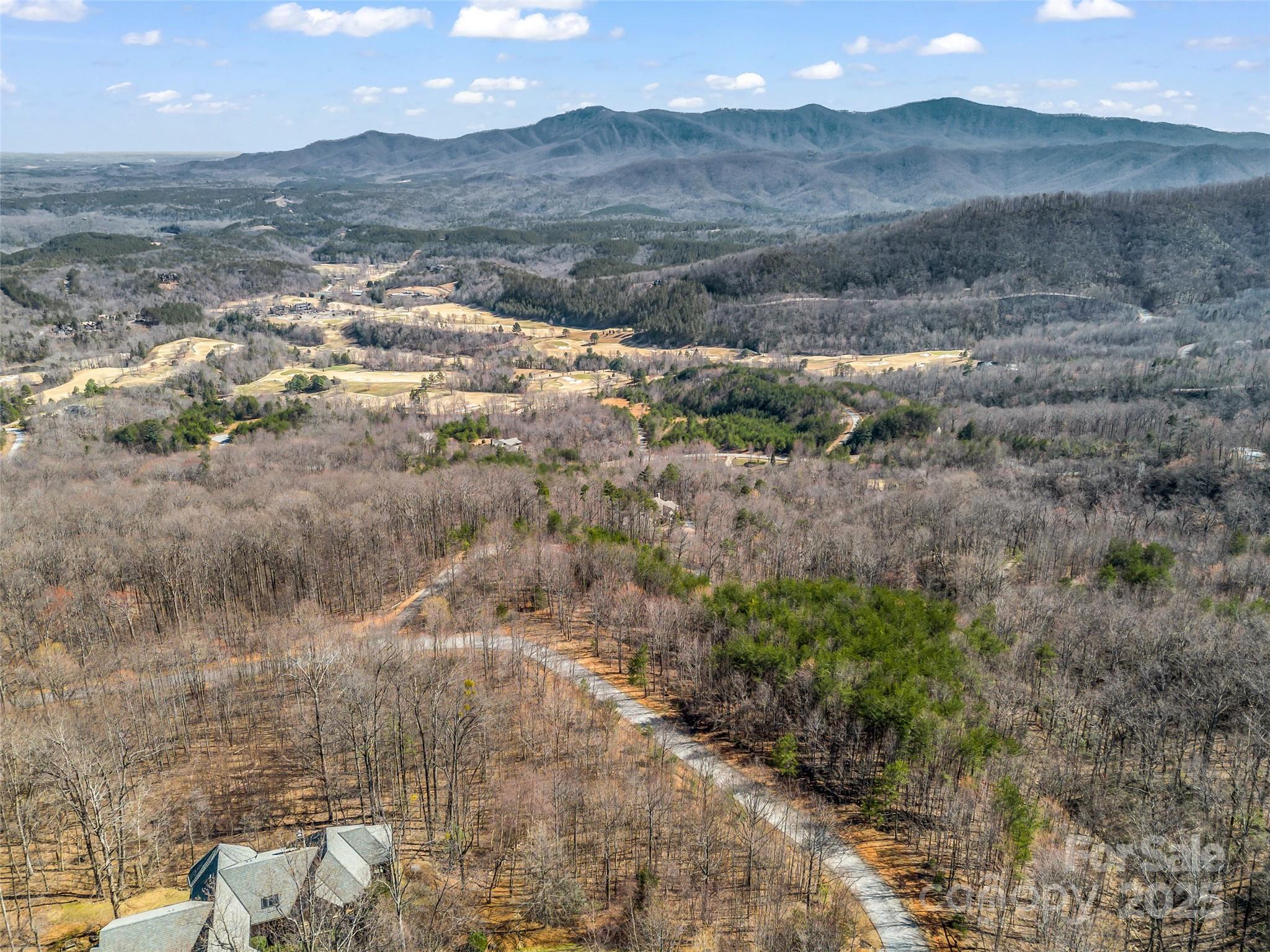 190 Cherry Hill, Unit NONE Mill Spring, NC 28756 - Photo 15 of 32 a view of mountain view with mountains in the background