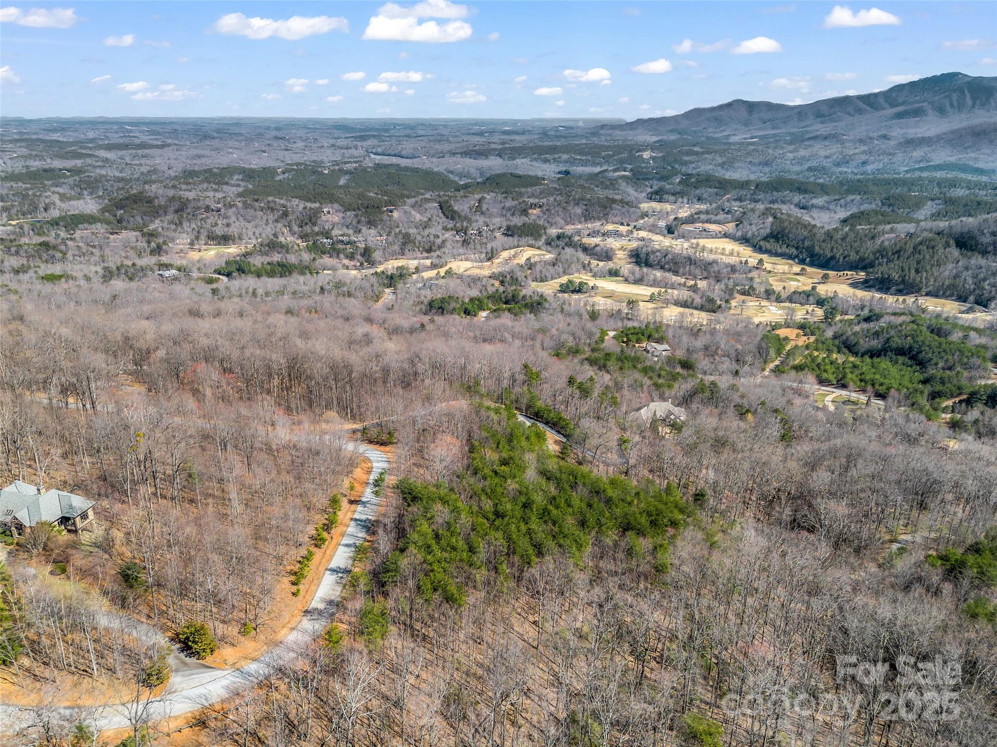 190 Cherry Hill, Unit NONE Mill Spring, NC 28756 - Photo 16 of 32 a view of a yard next to a building