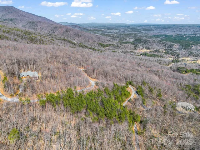 a view of a dry yard with trees